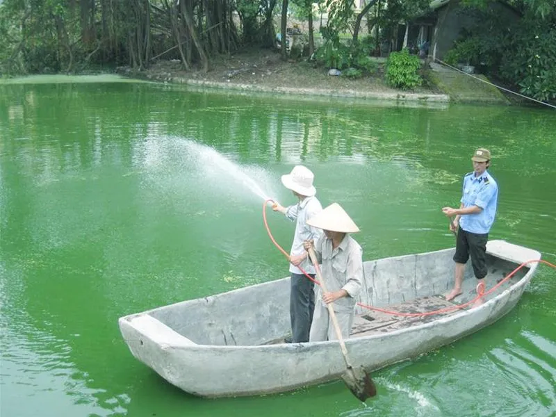 Hà Nội: Làm sạch nước hồ bằng công nghệ nội