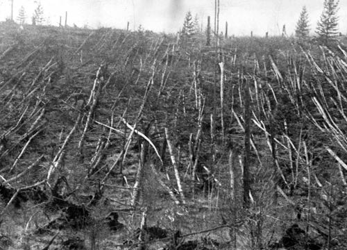 Bí ẩn sự kiện Tunguska