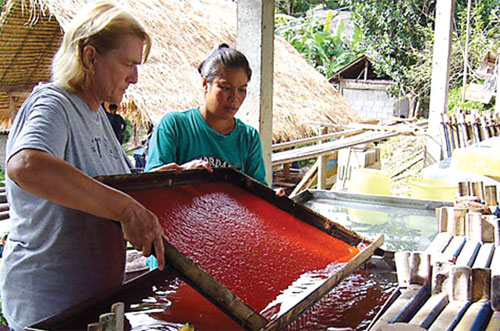 Thái Lan: Làm giấy bằng phân voi để bảo vệ môi trường