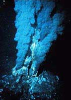 Phát hiện cánh đồng lạ dưới biển sâu