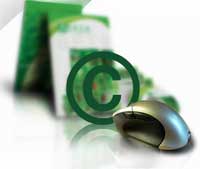 Bản quyền phần mềm trước thềm WTO