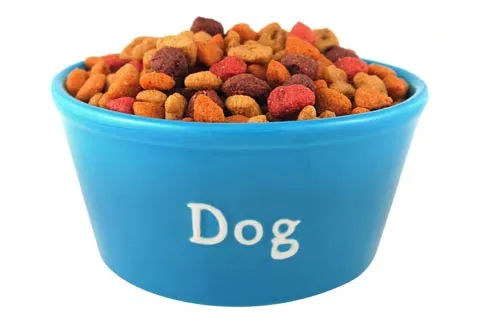 Điều gì xảy ra nếu bạn ăn thức ăn của chú cún?