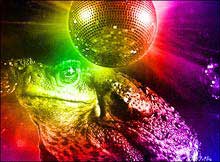 Những câu chuyện khoa học kỳ lạ nhất năm 2005