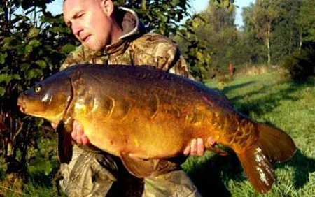 'Cụ' cá chép nặng 13,5 kg
