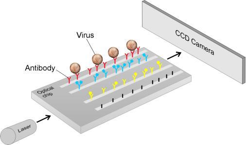 Thiết bị di động có thể phát hiện vi rut trong vài phút