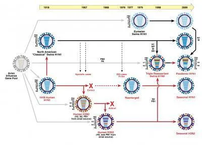 Triều đại cúm: năm 1918 và ngày nay