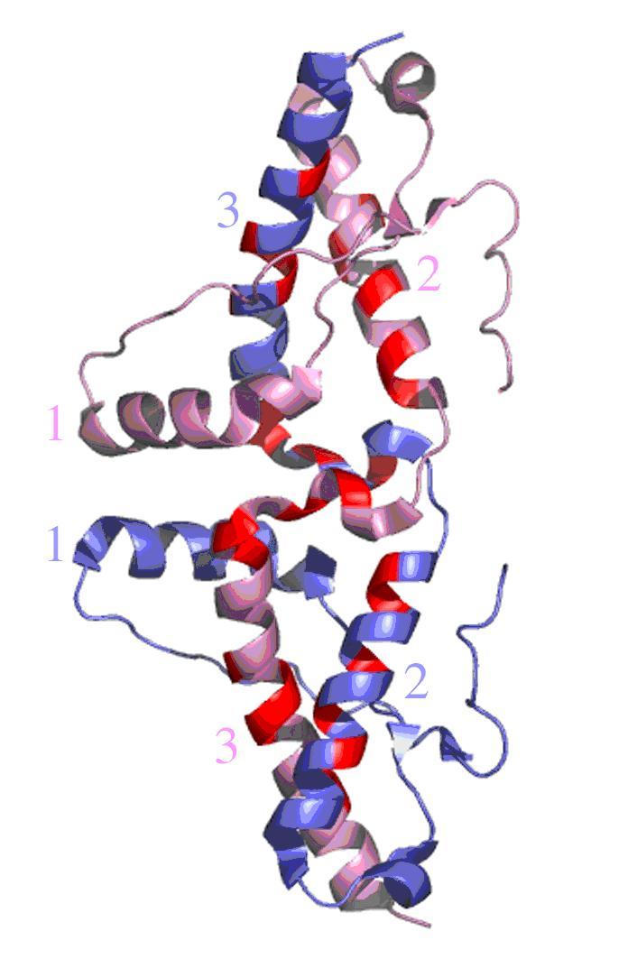 Triển vọng thuốc điều trị bệnh gây ra bởi quá trình kết xoắn sai của protein