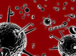 94% máy tính VN bị nhiễm Virus