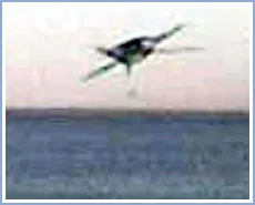 Vật thể bay lạ tại Argentina