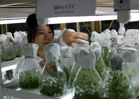 Bàn hướng đẩy mạnh ứng dụng tiến bộ khoa học công nghệ