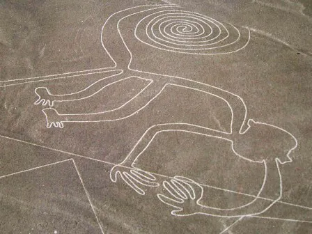 Nền văn minh Nazca diệt vong vì phá rừng