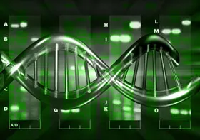 Thử nghiệm cấy ghép ADN người và động vật