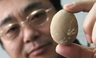 Tìm thấy quả trứng gà 600 tuổi