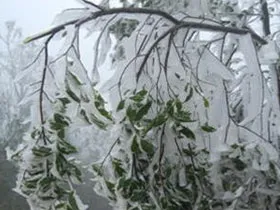 Sa Pa có thể có băng giá lần thứ hai trong năm