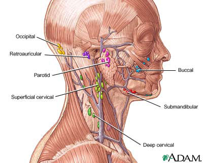 Phát hiện 231 gene mới liên quan đến ung thư vùng đầu và cổ