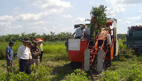 Máy thu hoạch lạc liên hoàn