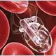 Thế kỷ 21: Thế kỷ của Công nghệ nano