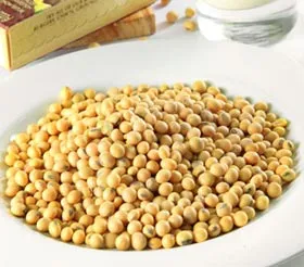 Đậu nành giúp giảm nguy cơ ung thư phổi ở nam giới