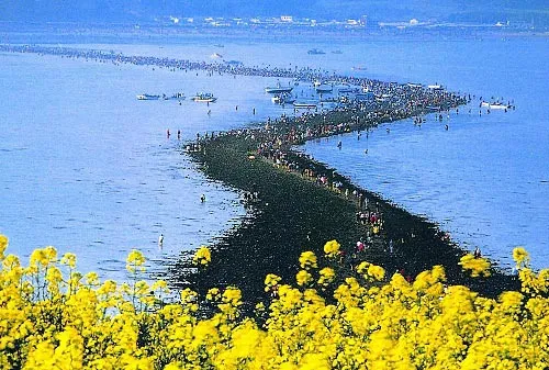Kỳ thú hiện tượng "Biển chia đôi"