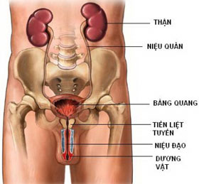 Phương pháp chữa ung thư bàng quang hiệu quả