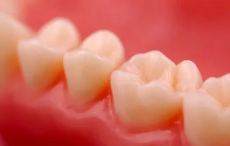 Chiết xuất tế bào gốc từ răng
