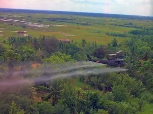 Tẩy độc đất nhiễm dioxin bằng phân hủy sinh học