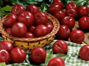 Quả đào và mận có khả năng chống ung thư vú