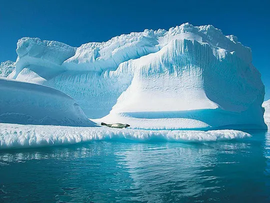 NOAA: Sự biến đổi khí hậu tại Bắc Cực là tất yếu