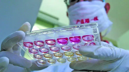 “Siêu vi khuẩn” tấn công Trung Quốc, 1 người chết