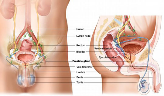 Xác định ung thư tuyến tiền liệt bằng xét nghiệm nước tiểu