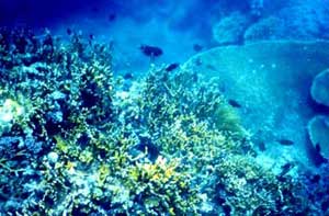 Bạn biết gì về độ phóng xạ của nước trên trái đất?