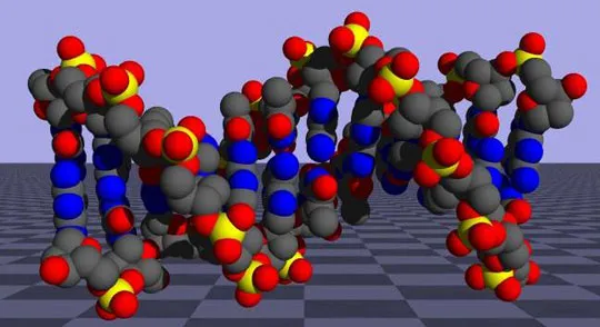 Hợp chất mới đưa DNA vào nhân tế bào tổn thương