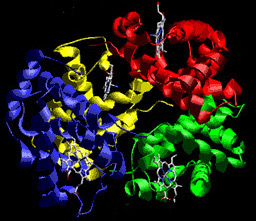 Phát hiện enzyme kéo dài cơn đau sau tổn thương