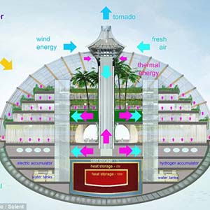 Nhà nổi giúp đối phó với biển đổi khí hậu