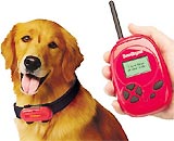 Các giải Ignobel liên quan đến chó