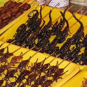Ăn côn trùng - giải pháp mới để "cứu" môi trường