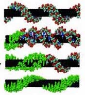 Chip cảm biến làm từ ống nano cacbon