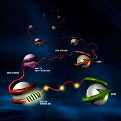 Đừng mong sớm có nghiên cứu đột phá về gene