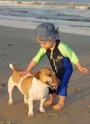 Bí mật về loài chó: Cố gắng học nói tiếng người!