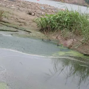 Đi tìm nguyên nhân sông Hồng "biến sắc"