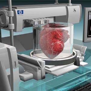 Kỳ lạ: Cỗ máy in thận người