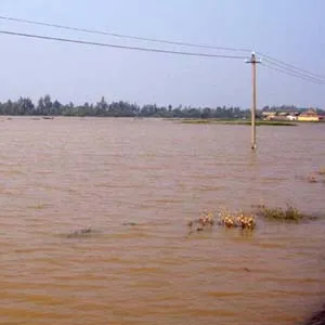 Khí hậu Việt Nam đang trở nên dị thường