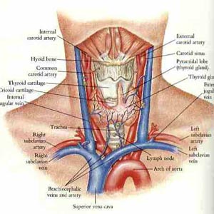 Uống gì để phòng nhiễm phóng xạ?