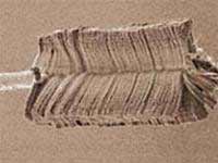 Thế giới muôn màu kỳ diệu