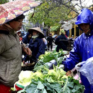 Không khí lạnh gây mưa và rét ở Trung Trung Bộ