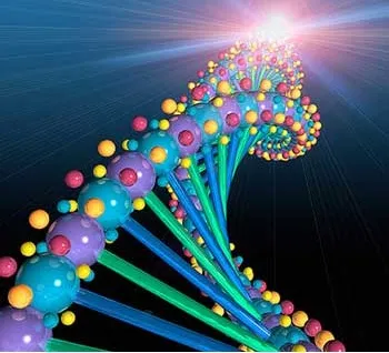 Mối quan hệ hợp tác trong việc nghiên cứu bộ gen người