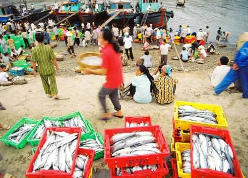 Nước biển Việt Nam bị nhiễm phóng xạ?