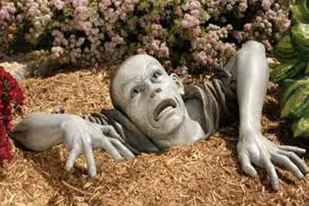 Giải mã hội chứng "người chết sống lại"