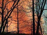 Thiệt hại 40 tỷ USD/năm do biến đổi khí hậu