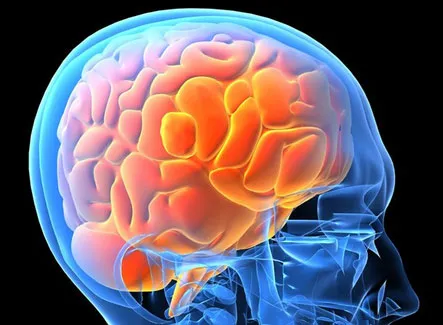 Virus HIV làm tăng tỷ lệ bệnh nhân bị mất trí nhớ